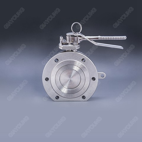 Top Discharge Butterfly Valve