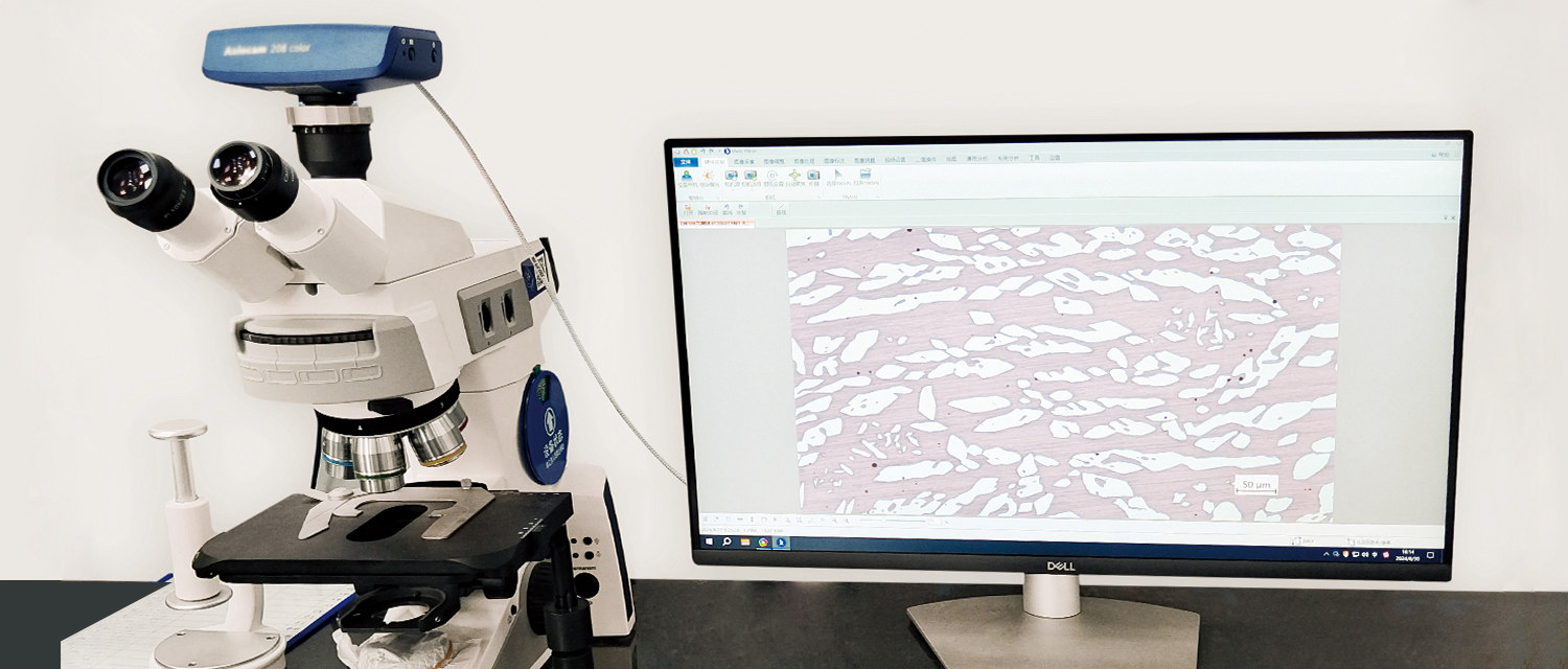 Metallographic Detection